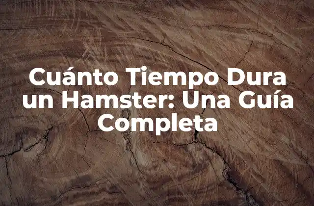 Cuánto Tiempo Dura un Hamster: una Guía Completa