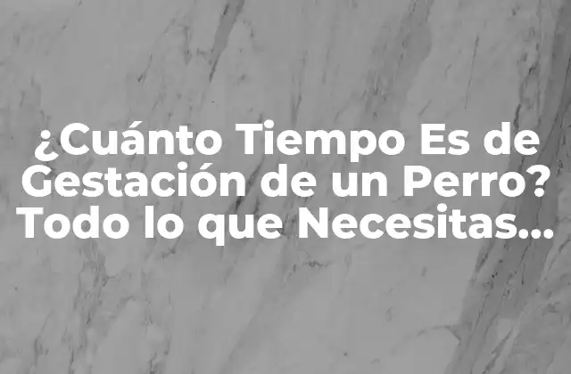 ¿cuánto Tiempo es de Gestación de un Perro? Todo Lo que Necesitas Saber 2 ¿Cuánto Dura el Embarazo de un Perro?