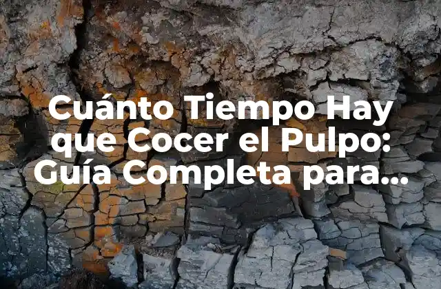 Cuánto Tiempo Hay que Cocer el Pulpo: Guía Completa para Cocinarlo a la Perfección