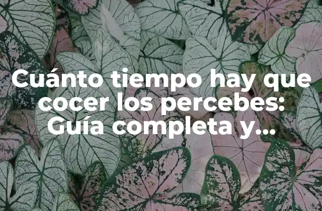Cuánto Tiempo Hay que Cocer los Percebes: Guía Completa y Detallada