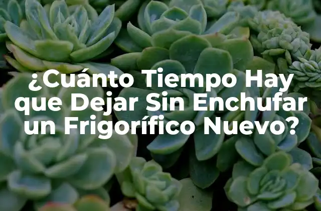 ¿cuánto Tiempo Hay que Dejar sin Enchufar un Frigorífico Nuevo?