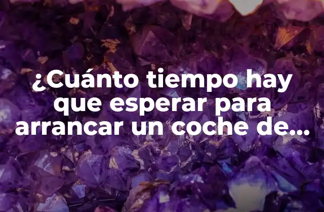 ¿cuánto Tiempo Hay que Esperar para Arrancar un Coche de Gasolina?