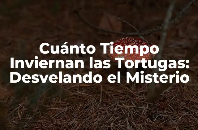Cuánto Tiempo Inviernan las Tortugas: Desvelando el Misterio