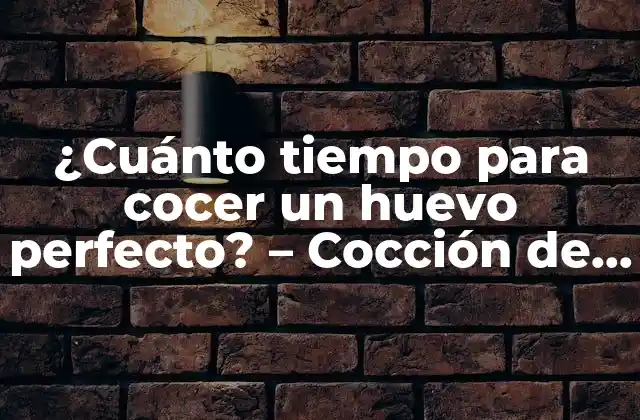 ¿cuánto Tiempo para Cocer un Huevo Perfecto? – Cocción de Huevos Al Punto