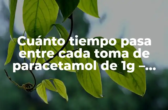 Cuánto Tiempo Pasa entre Cada Toma de Paracetamol de 1g – Guía Completa