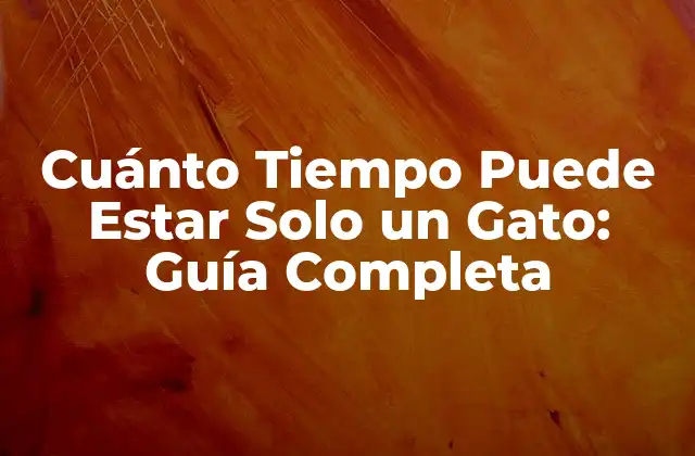 Cuánto Tiempo Puede Estar Solo un Gato: Guía Completa
