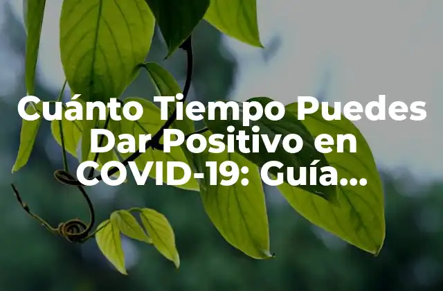 Cuánto Tiempo Puedes Dar Positivo en Covid-19: Guía Completa