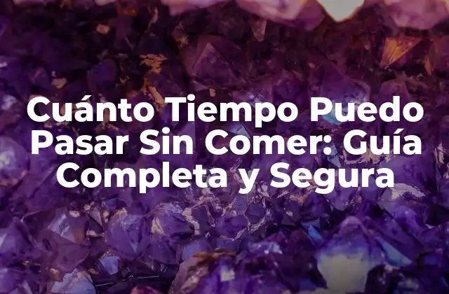 Cuánto Tiempo Puedo Pasar sin Comer: Guía Completa y Segura