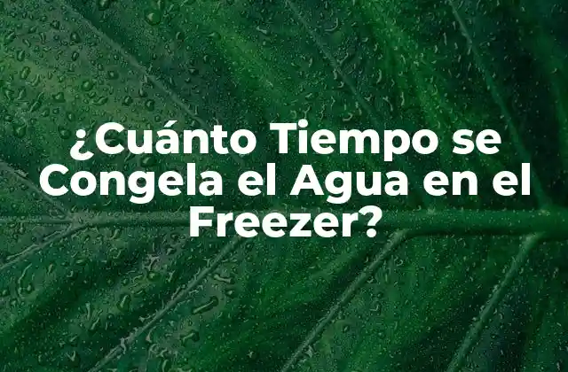 ¿cuánto Tiempo Se Congela el Agua en el Freezer? 2 La Física detrás de la Congelación del Agua