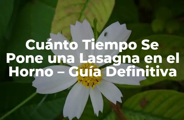 Cuánto Tiempo Se Pone una Lasagna en el Horno – Guía Definitiva