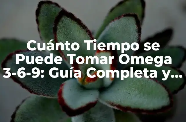 Cuánto Tiempo Se Puede Tomar Omega 3-6-9: Guía Completa y Detallada 2 ¿Qué Son los Ácidos Grasos Esenciales Omega 3-6-9?