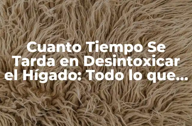 Cuanto Tiempo Se Tarda en Desintoxicar el Hígado: Todo Lo que Necesitas Saber