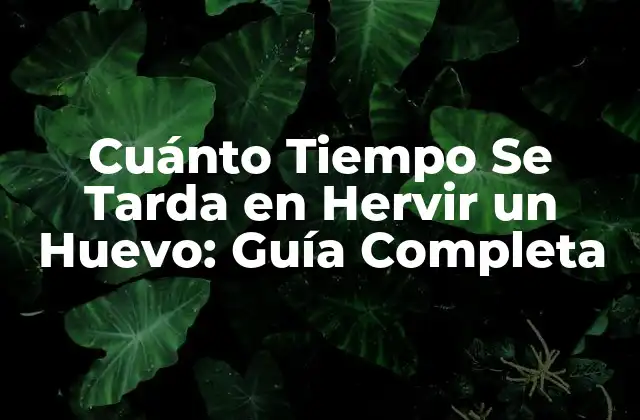 Cuánto Tiempo Se Tarda en Hervir un Huevo: Guía Completa