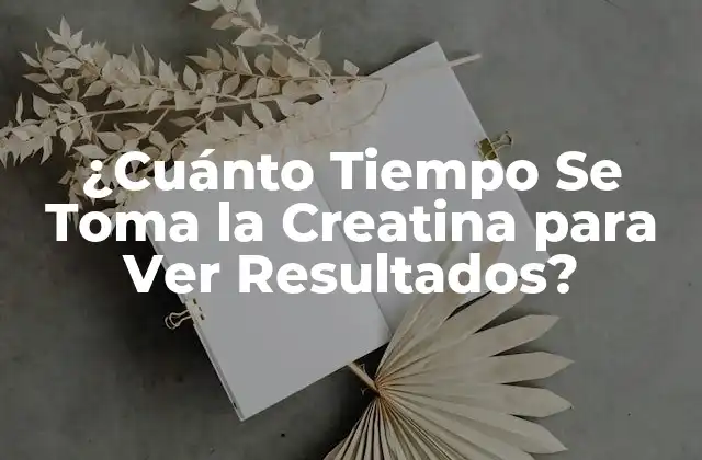 ¿cuánto Tiempo Se Toma la Creatina para Ver Resultados?