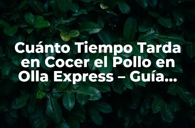 Cuánto Tiempo Tarda en Cocer el Pollo en Olla Express – Guía Completa