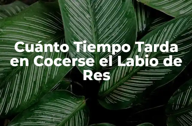 Cuánto Tiempo Tarda en Cocerse el Labio de Res 2 ¿Cuál es la Mejor Forma de Cocinar el Labio de Res?