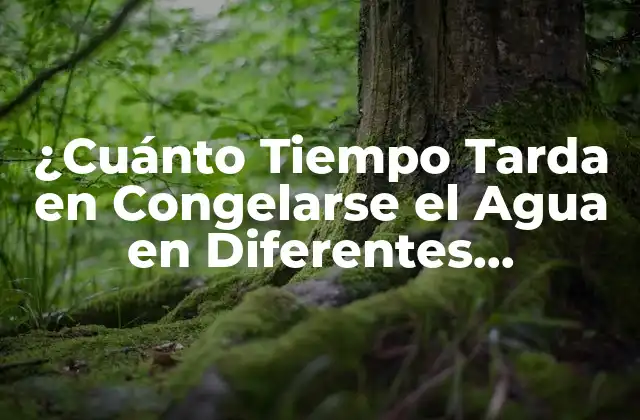 ¿cuánto Tiempo Tarda en Congelarse el Agua en Diferentes Condiciones? 2 La Temperatura de Congelación del Agua