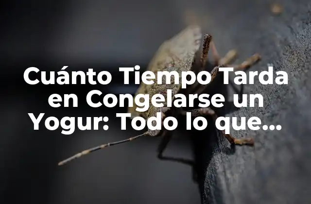 Cuánto Tiempo Tarda en Congelarse un Yogur: Todo Lo que Necesitas Saber