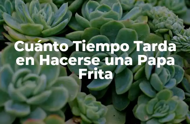 Cuánto Tiempo Tarda en Hacerse una Papa Frita