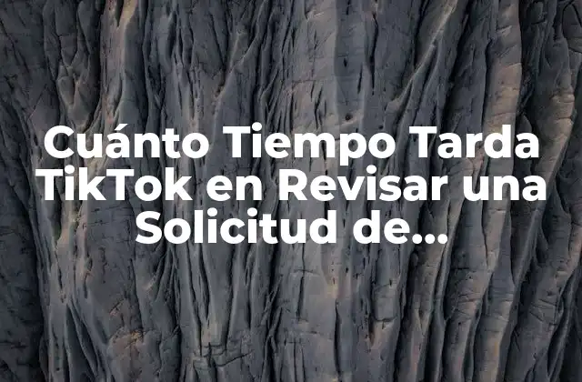 Cuánto Tiempo Tarda Tiktok en Revisar una Solicitud de Verificación