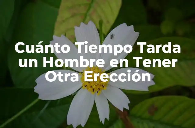 Cuánto Tiempo Tarda un Hombre en Tener Otra Erección