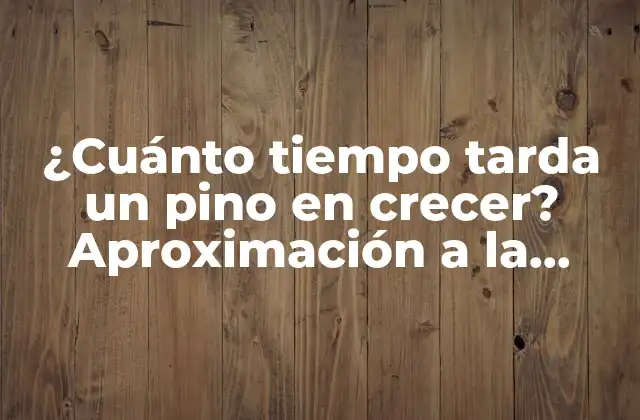 ¿cuánto Tiempo Tarda un Pino en Crecer? Aproximación a la Velocidad de Crecimiento de los Pinos
