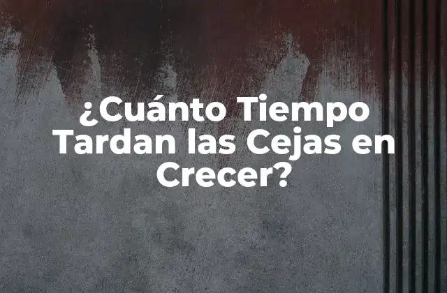 ¿cuánto Tiempo Tardan las Cejas en Crecer?