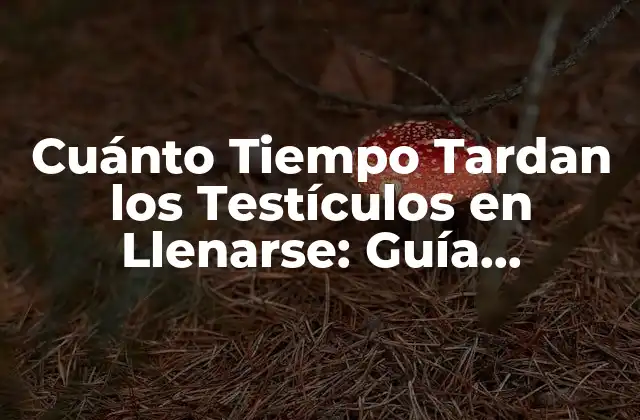 Cuánto Tiempo Tardan los Testículos en Llenarse: Guía Completa