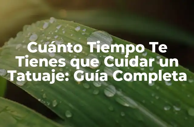 Cuánto Tiempo Te Tienes que Cuidar un Tatuaje: Guía Completa