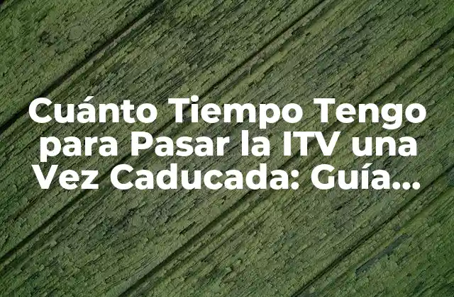 Cuánto Tiempo Tengo para Pasar la Itv una Vez Caducada: Guía Completa