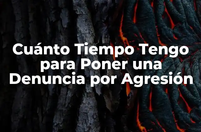 Cuánto Tiempo Tengo para Poner una Denuncia por Agresión