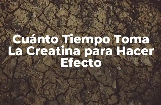 Cuánto Tiempo Toma la Creatina para Hacer Efecto