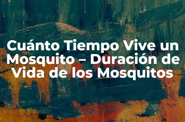 Cuánto Tiempo Vive un Mosquito – Duración de Vida de los Mosquitos