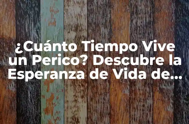 ¿cuánto Tiempo Vive un Perico? Descubre la Esperanza de Vida de Estos Adorables Pájaros