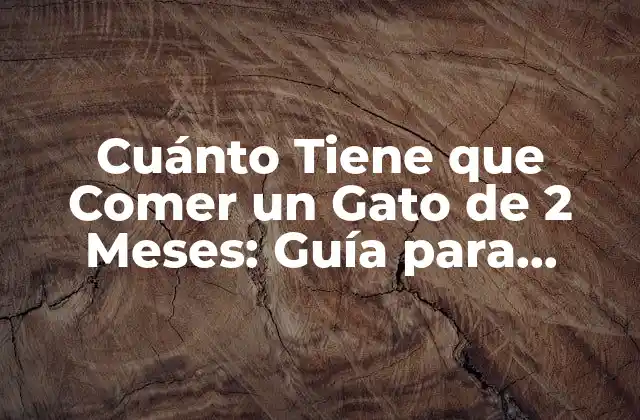 Cuánto Tiene que Comer un Gato de 2 Meses: Guía para Cuidadores de Gatos