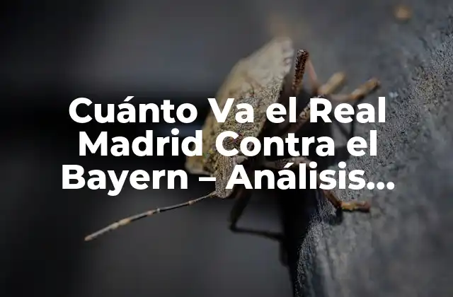 Cuánto Va el Real Madrid contra el Bayern – Análisis Estadístico y Histórico