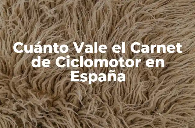 Cuánto Vale el Carnet de Ciclomotor en España