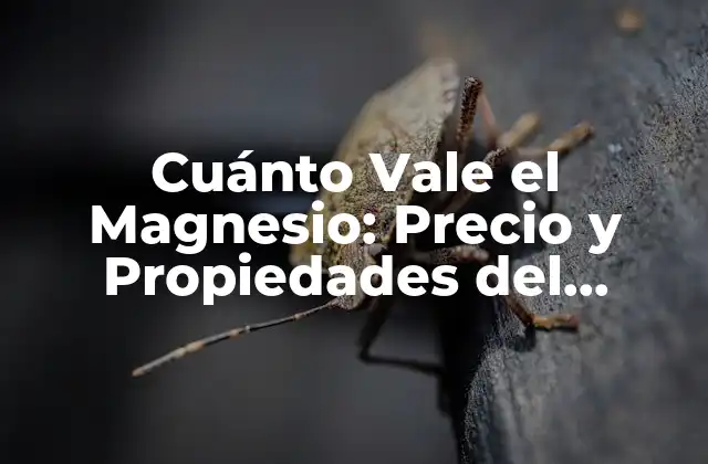 Cuánto Vale el Magnesio: Precio y Propiedades Del Elemento