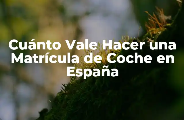 Cuánto Vale Hacer una Matrícula de Coche en España