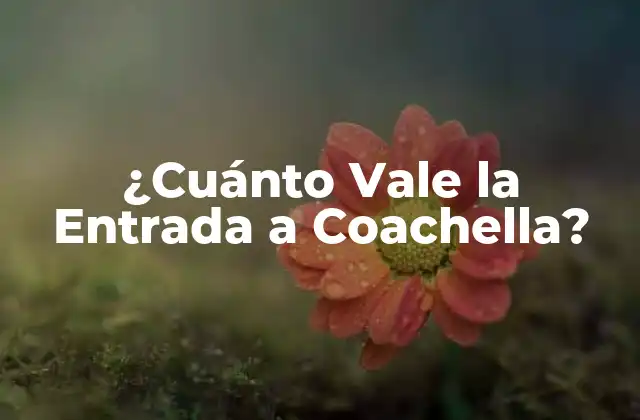 ¿cuánto Vale la Entrada a Coachella?