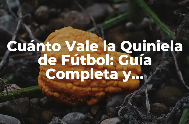 Cuánto Vale la Quiniela de Fútbol: Guía Completa y Actualizada