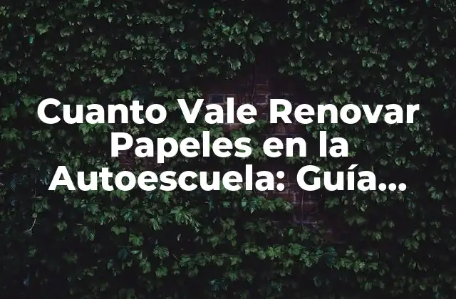Cuanto Vale Renovar Papeles en la Autoescuela: Guía Completa