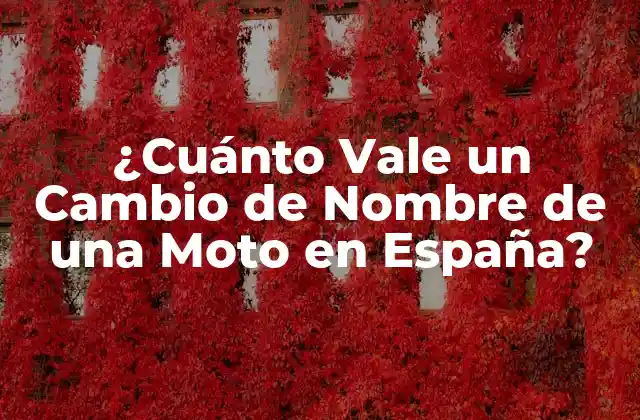 ¿cuánto Vale un Cambio de Nombre de una Moto en España? 2 Requisitos para Cambiar el Nombre de una Moto