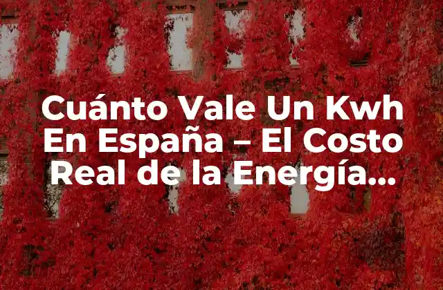 Cuánto Vale un Kwh en España – el Costo Real de la Energía Eléctrica