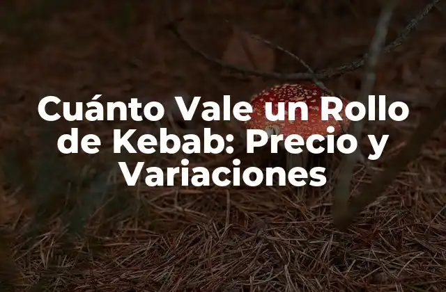 Cuánto Vale un Rollo de Kebab: Precio y Variaciones