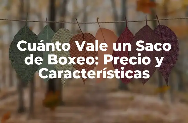Cuánto Vale un Saco de Boxeo: Precio y Características 2 Tipos de Sacos de Boxeo