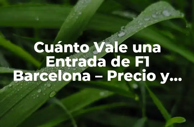Cuánto Vale una Entrada de F1 Barcelona – Precio y Tips