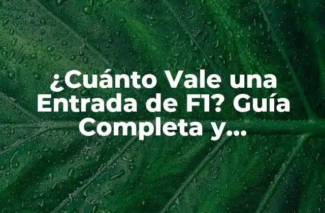 ¿cuánto Vale una Entrada de F1? Guía Completa y Actualizada