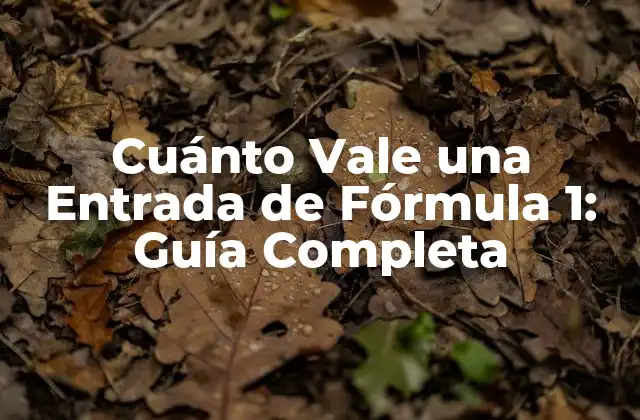 Cuánto Vale una Entrada de Fórmula 1: Guía Completa