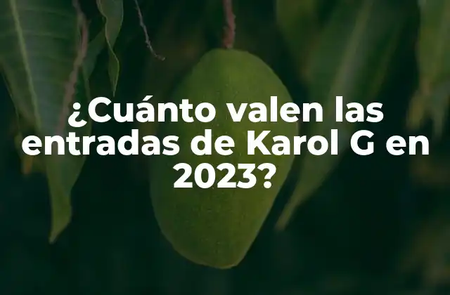 ¿cuánto Valen las Entradas de Karol G en 2023?